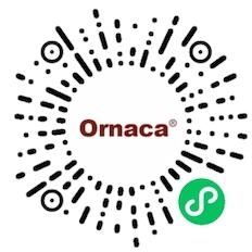 QR Code for Ornaca WeChat Mini Program